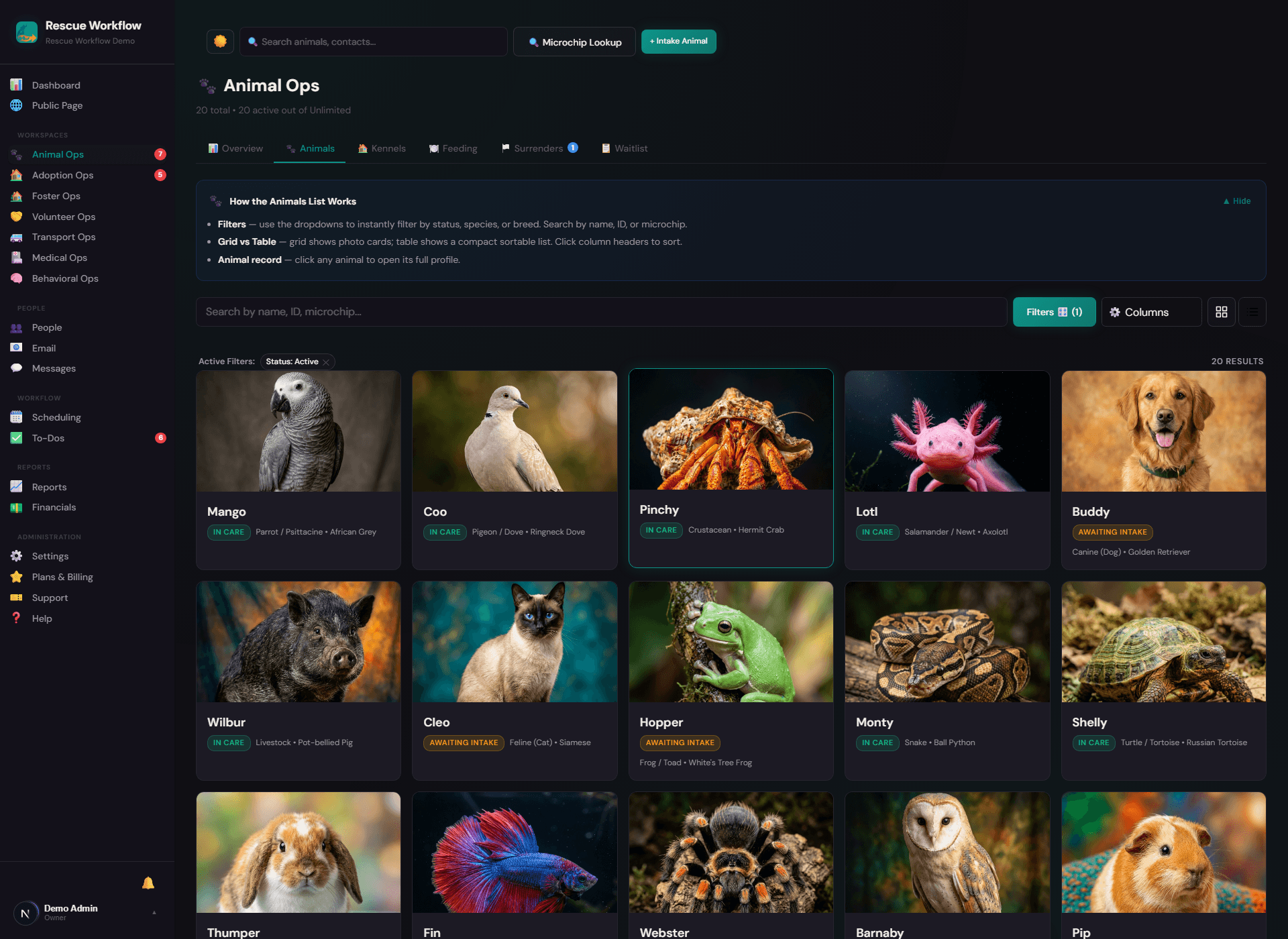 Rescue Workflow Animal Ops Dashboard