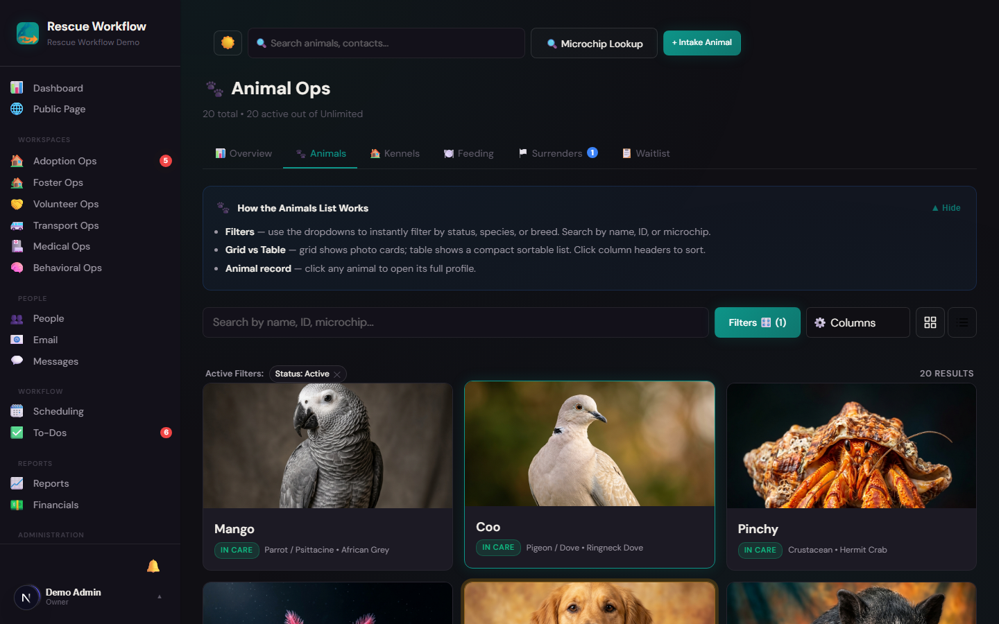 Animal dashboard — at-a-glance status for your entire roster