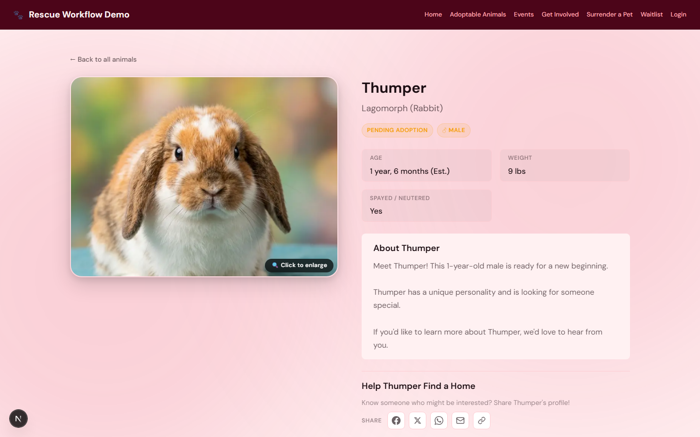 Individual animal profile — shareable, photo-forward, with a built-in Apply to Adopt button