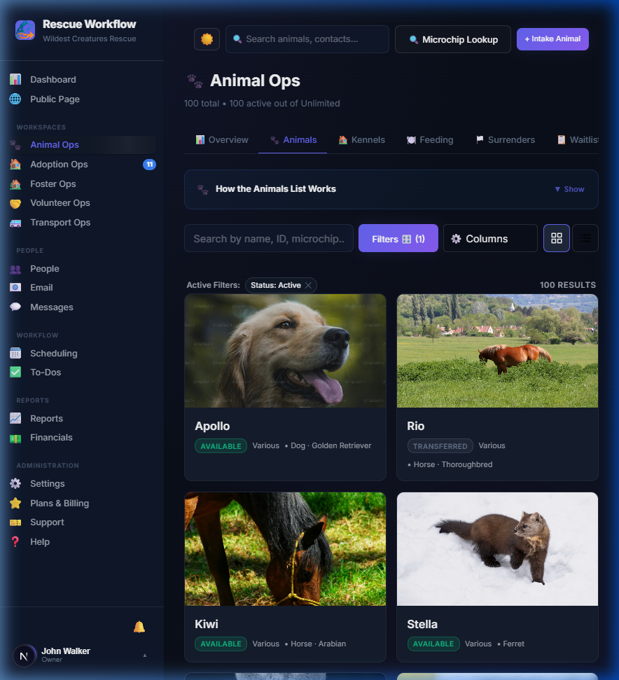 Rescue Workflow Animal Ops Dashboard